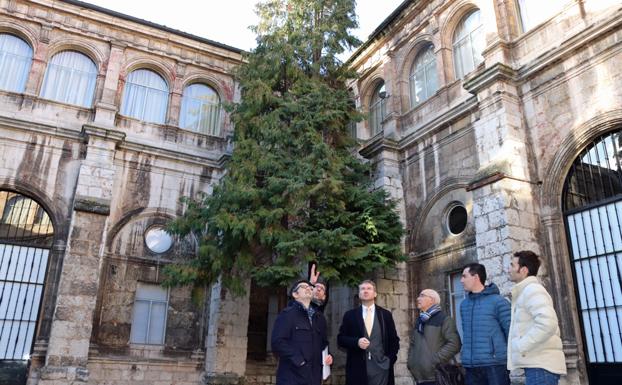 Los técnicos han explicado cómo se colocará la cubierta en el claustro del Monasterio de San Juan