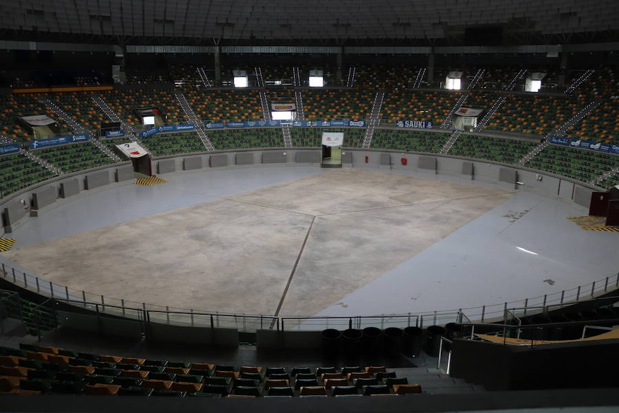 Los nuevos baños del Coliseum tienen un presupuesto de 340.000 euros. Se construirán 6 servicios, tres masculino y tres femeninos.