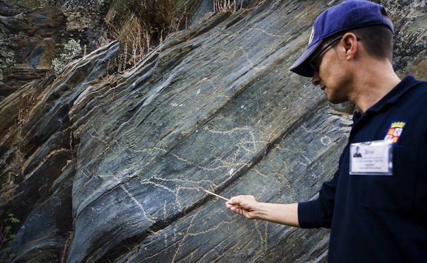 Es uno de los paneles más llamativos del yacimiento por su buena conservación. Todas las figuras están piqueteadas. Destaca un bóvido de gran tamaño y calidad en cuyo interior hay un cánido. Estación rupestre de Siega Verde.