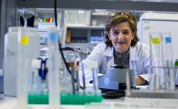 Lucía Núñez, en el laboratorio del Instituto de Biología y Genética Molecular de la Universidad de Valladolid y del Centro Superior de Investigaciones Científicas. 