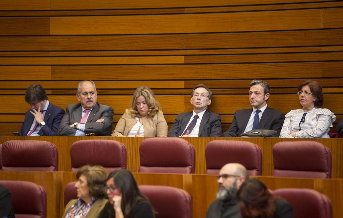 Fotos: XXXVI Aniversario del Estatuto de Autonomía de Castilla y León