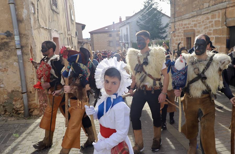 La localidad burgalesa representa su fiesta pagana, recuperada tras la dictadura, en la que los mozos intentan robar el ave al rey, simbolizado en un niño, y protegido por el zarramaco