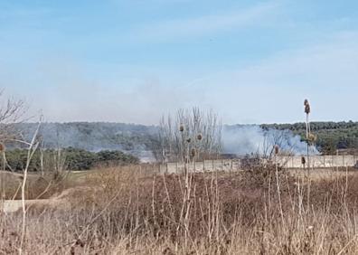 Imagen secundaria 1 - Imágenes de las prácticas forestales de la Unidad Militar de Emergencias. 