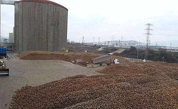 Azucarera en Miranda de Ebro. 