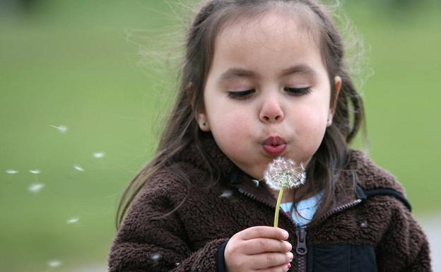 Una niña sopla un diente de león.