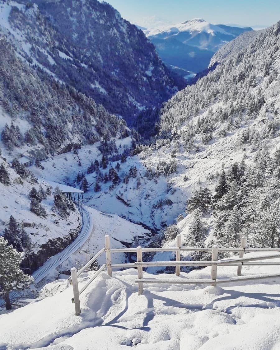 La primavera ya ha llegado y en el Pirineo Catalán muestra una de sus caras más bonitas