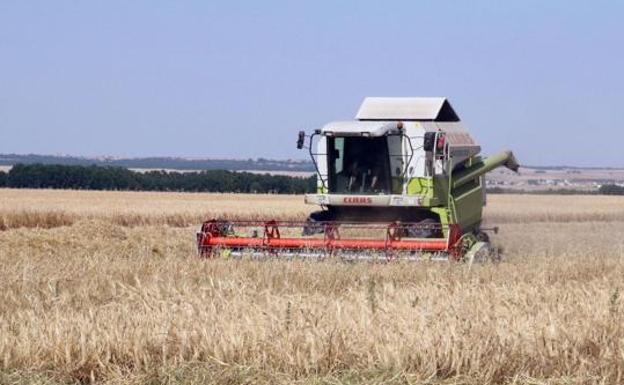 Una cosechadora, en una tierra de Castilla y León.