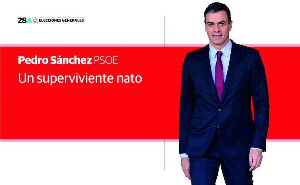 Pedro Sánchez, un superviviente nato. 