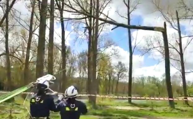 Los bomberos tumban el árbol con ayuda de un cabrestante