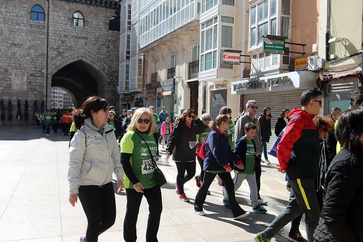 Miles de burgaleses participan en la I Marcha Contra el Cáncer de Burgos, que agota los dorsales