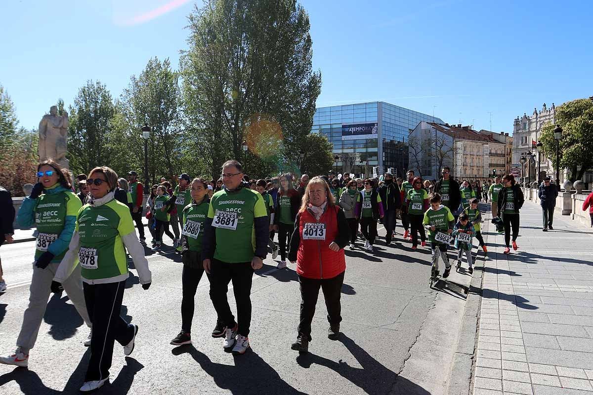 Miles de burgaleses participan en la I Marcha Contra el Cáncer de Burgos, que agota los dorsales