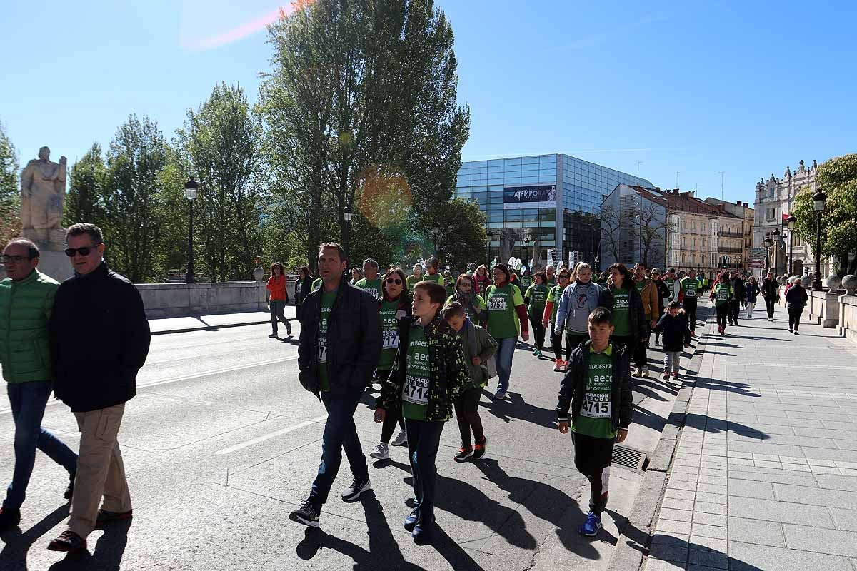 Miles de burgaleses participan en la I Marcha Contra el Cáncer de Burgos, que agota los dorsales