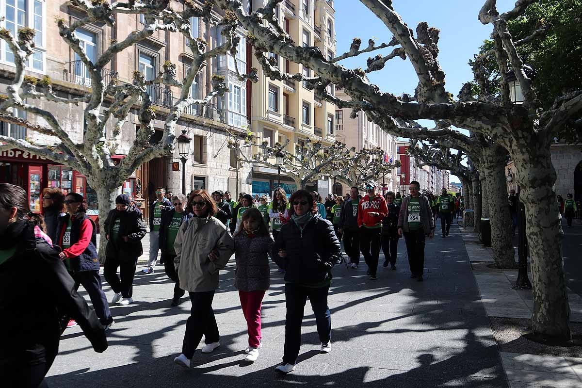Miles de burgaleses participan en la I Marcha Contra el Cáncer de Burgos, que agota los dorsales