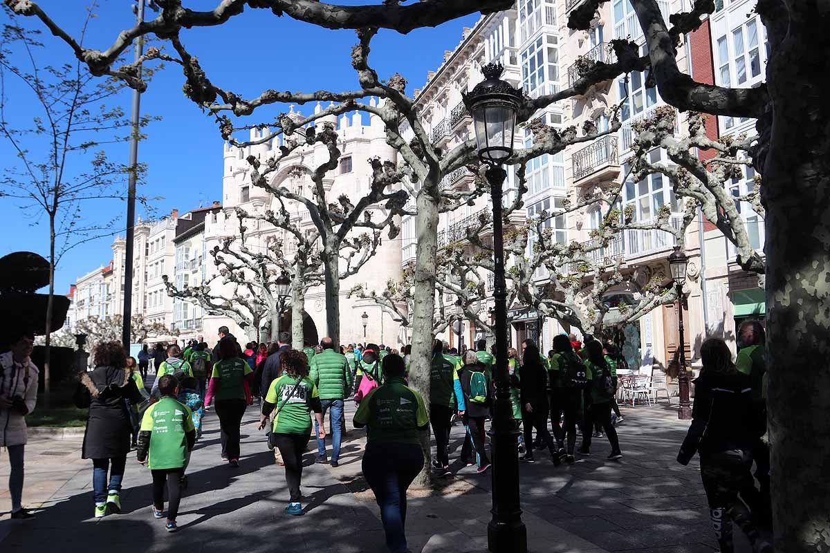 Miles de burgaleses participan en la I Marcha Contra el Cáncer de Burgos, que agota los dorsales