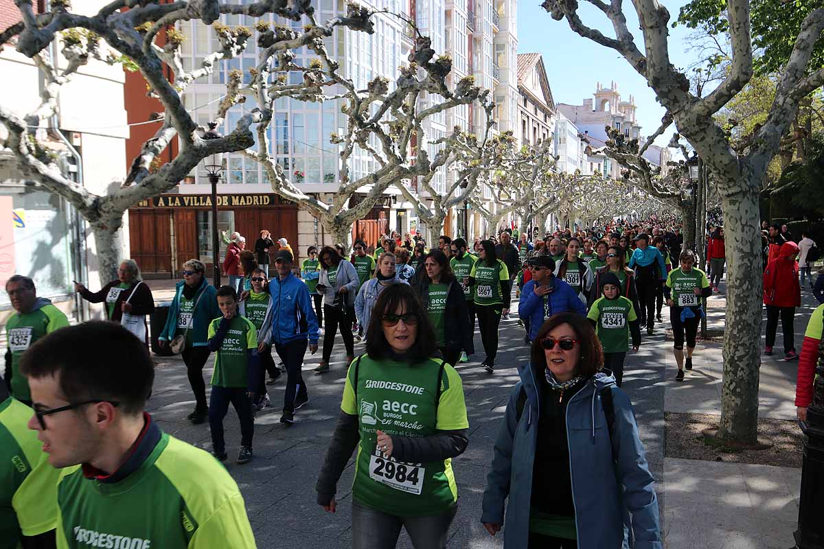 Miles de burgaleses participan en la I Marcha Contra el Cáncer de Burgos, que agota los dorsales