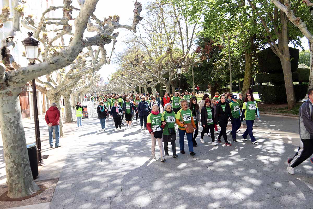 Miles de burgaleses participan en la I Marcha Contra el Cáncer de Burgos, que agota los dorsales