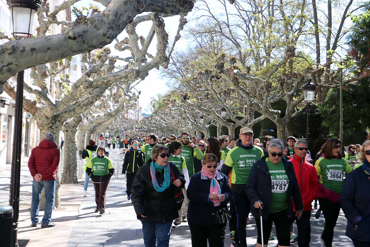 Miles de burgaleses participan en la I Marcha Contra el Cáncer de Burgos, que agota los dorsales