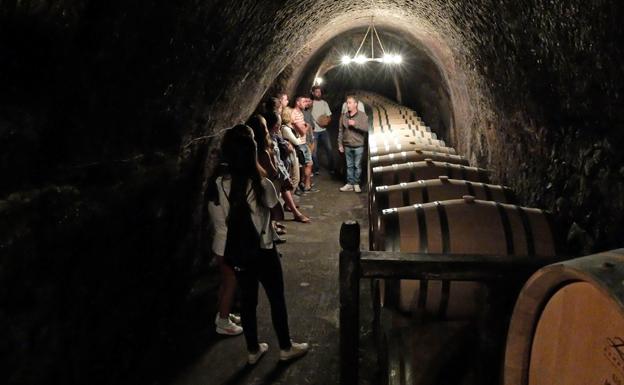 Una de las visitas a las bodegas. 