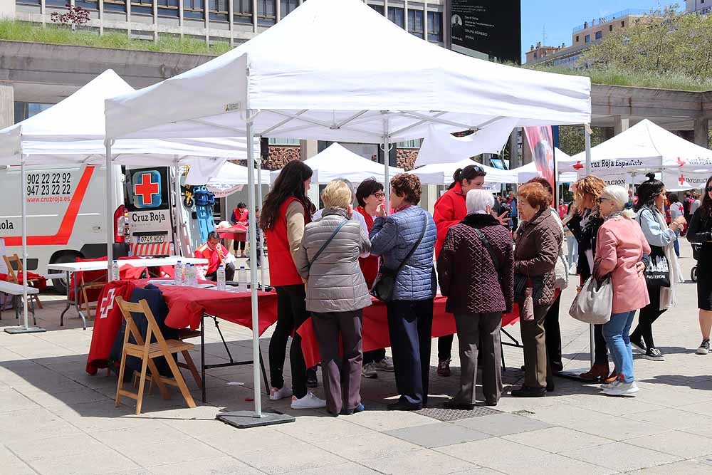 Cruz Roja Burgos ha organizado una jornada de convivencia en la Plaza de España para dar a conocer su trabajo con motivo del Día de la Cruz Roja y la Media Luna Roja