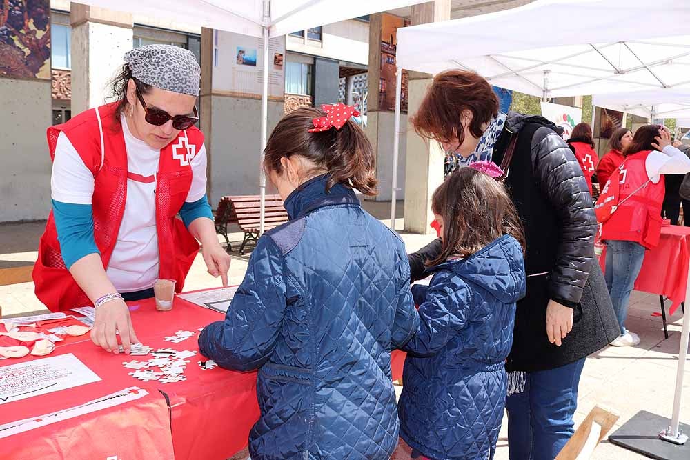 Cruz Roja Burgos ha organizado una jornada de convivencia en la Plaza de España para dar a conocer su trabajo con motivo del Día de la Cruz Roja y la Media Luna Roja