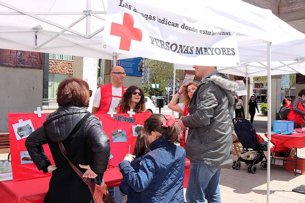 Cruz Roja Burgos ha organizado una jornada de convivencia en la Plaza de España para dar a conocer su trabajo con motivo del Día de la Cruz Roja y la Media Luna Roja