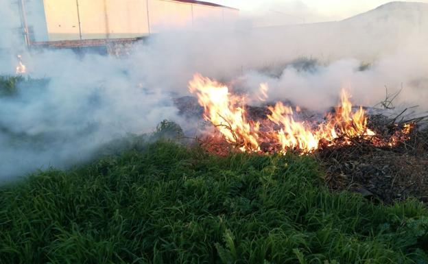 Imagen principal - Los bomberos sofocan un conato de incendio en Villagonzalo Pedernales