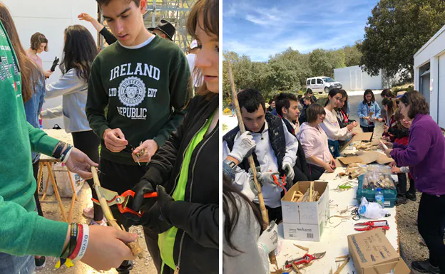 Los alumnos participan en el taller para construir el 'gran hotel' de insectos. 