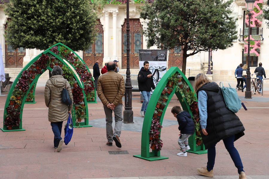 Las flores llenarán de color el centro de la ciudad de Burgos durante todo el fin de semana con motivo de la séptima edición de la Fiesta de las Flores.