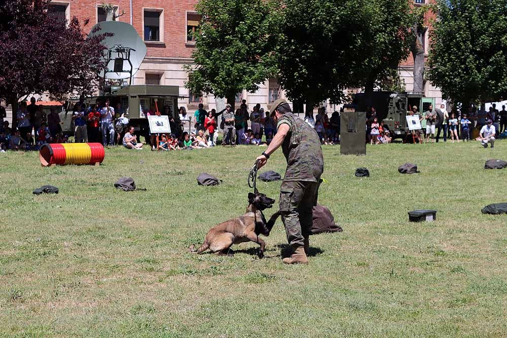 Las unidades militares de Burgos y la Guardia Civil han celebrado el Día de las Fuerzas Armadas con una exhibición de equipamiento y material militar y talleres para grandes y pequeños