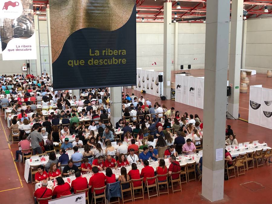 La capital de la Ribera acoge este sábado los Premios Envero, con 1.000 catadores que eligen entre 220 caldos de la DO Ribera del Duero