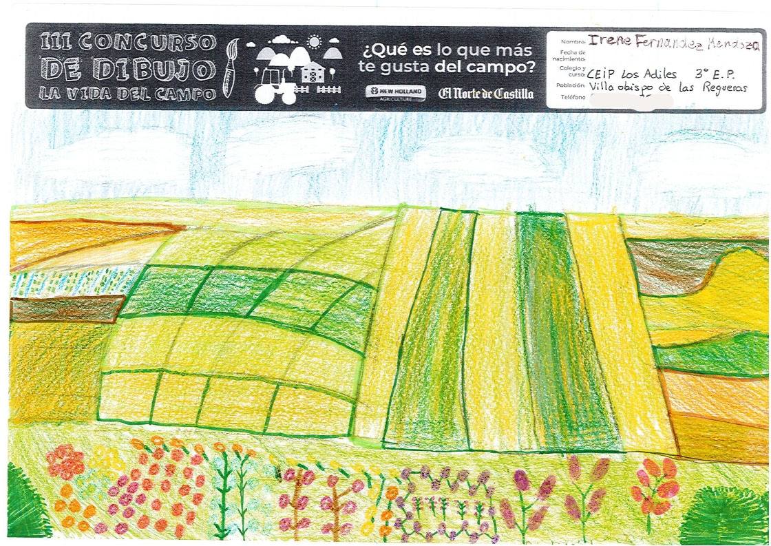 Fotos: Trabajos de 3º de Primaria en la modalidad de dibujo del III Concurso de Dibujo y Cómic &#039;La vida del campo&#039;