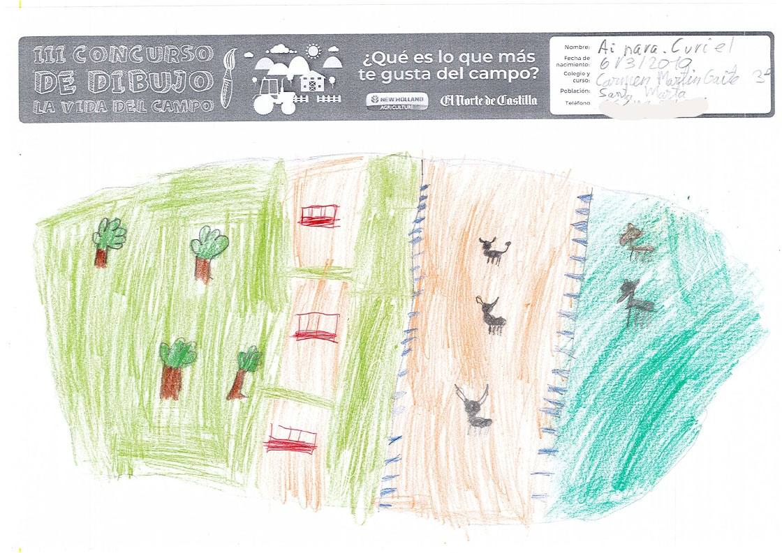 Fotos: Trabajos de 3º de Primaria en la modalidad de dibujo del III Concurso de Dibujo y Cómic &#039;La vida del campo&#039;