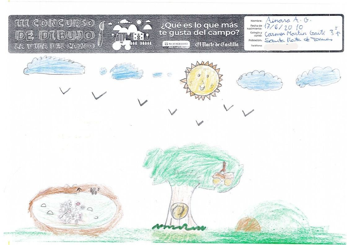 Fotos: Trabajos de 3º de Primaria en la modalidad de dibujo del III Concurso de Dibujo y Cómic &#039;La vida del campo&#039;