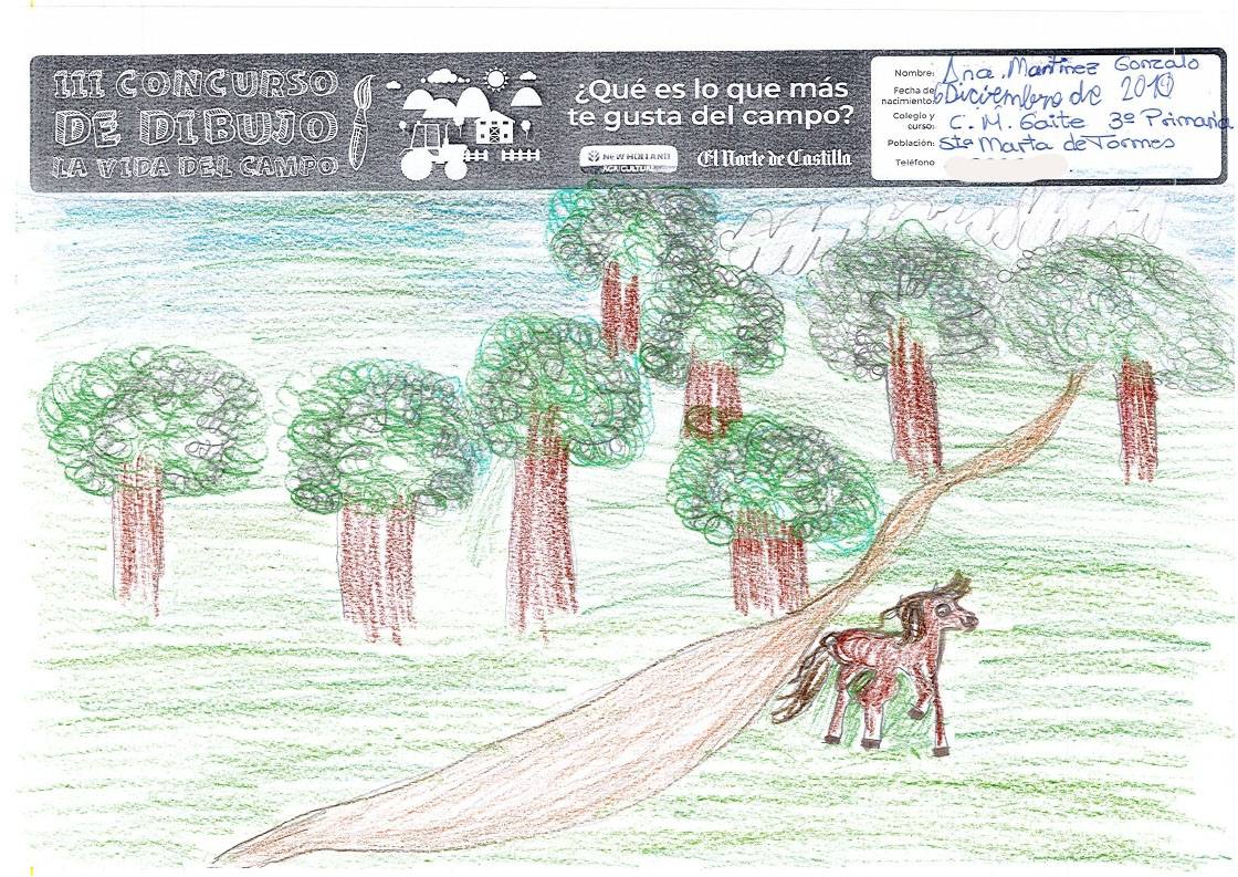 Fotos: Trabajos de 3º de Primaria en la modalidad de dibujo del III Concurso de Dibujo y Cómic &#039;La vida del campo&#039;