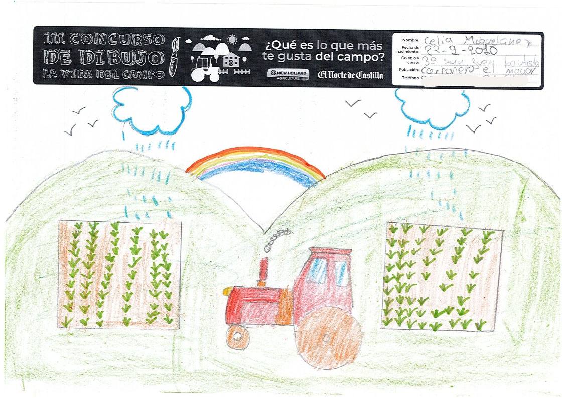 Fotos: Trabajos de 3º de Primaria en la modalidad de dibujo del III Concurso de Dibujo y Cómic &#039;La vida del campo&#039;