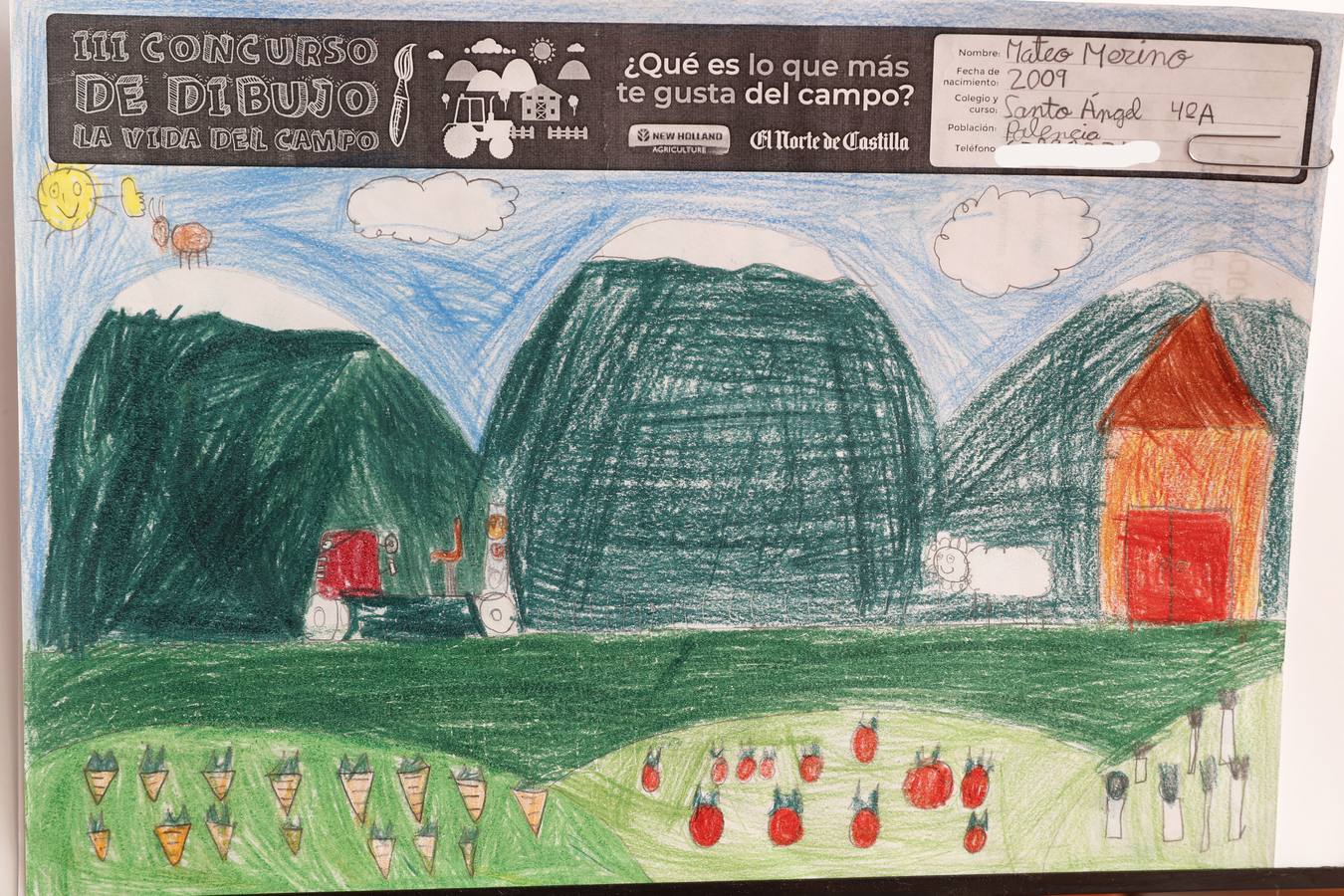 Fotos: Trabajos de 4º de Primaria en la modalidad de dibujo del III Concurso de Dibujo y Cómic &#039;La vida del campo&#039;