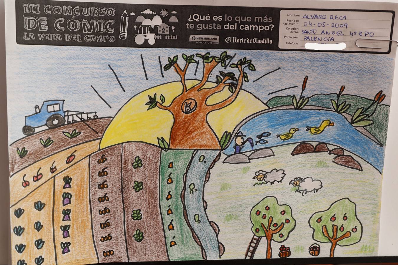 Fotos: Trabajos de 4º de Primaria en la modalidad de dibujo del III Concurso de Dibujo y Cómic &#039;La vida del campo&#039;