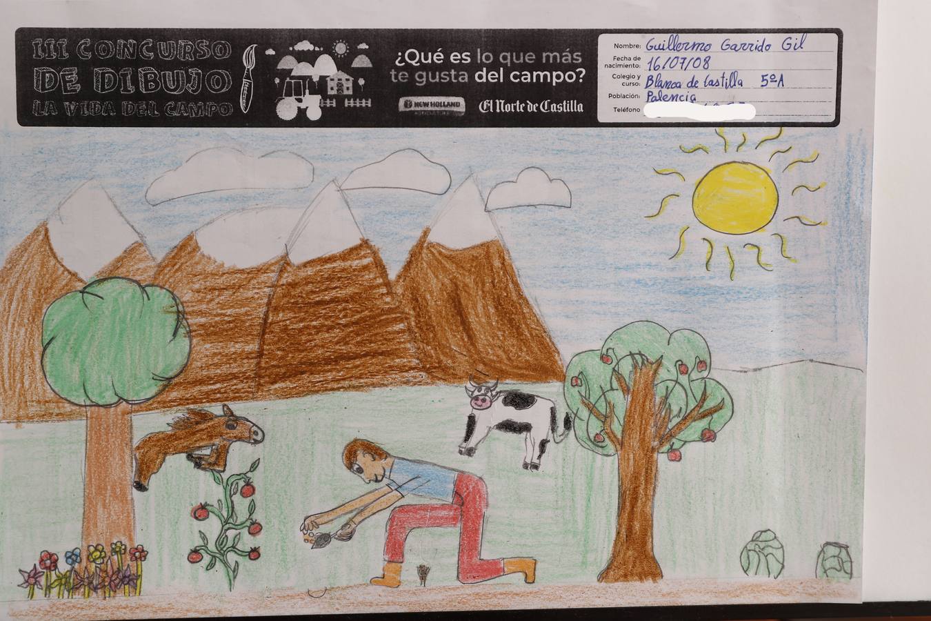 Fotos: Trabajos de 5º de Primaria en la modalidad de dibujo del III Concurso de Dibujo y Cómic &#039;La vida del campo&#039;