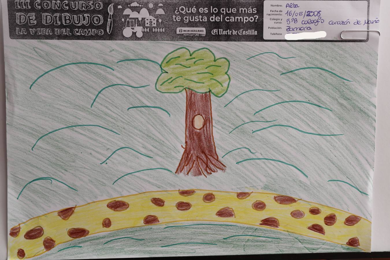 Fotos: Trabajos de 5º de Primaria en la modalidad de dibujo del III Concurso de Dibujo y Cómic &#039;La vida del campo&#039;