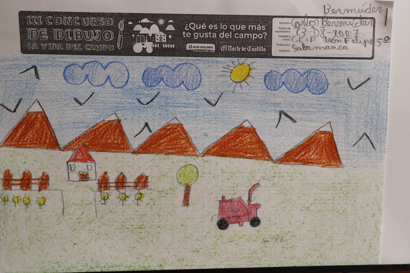 Fotos: Trabajos de 5º de Primaria en la modalidad de dibujo del III Concurso de Dibujo y Cómic &#039;La vida del campo&#039;