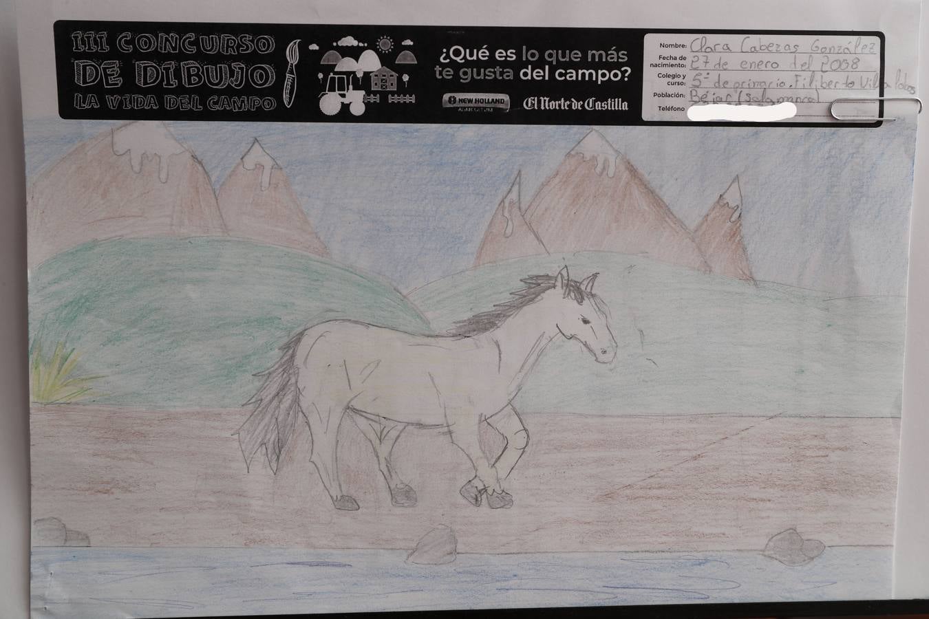 Fotos: Trabajos de 5º de Primaria en la modalidad de dibujo del III Concurso de Dibujo y Cómic &#039;La vida del campo&#039;