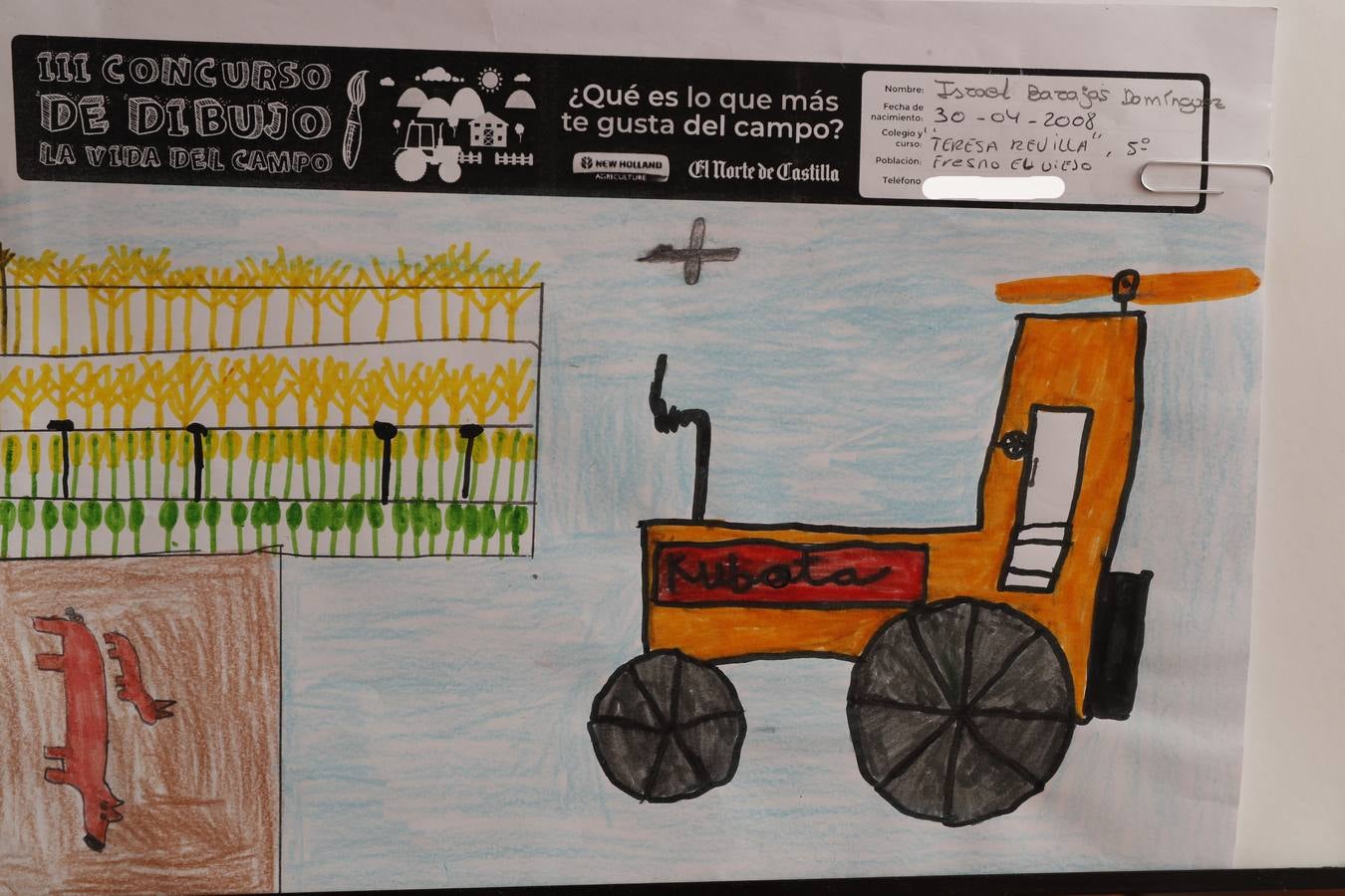 Fotos: Trabajos de 5º de Primaria en la modalidad de dibujo del III Concurso de Dibujo y Cómic &#039;La vida del campo&#039;