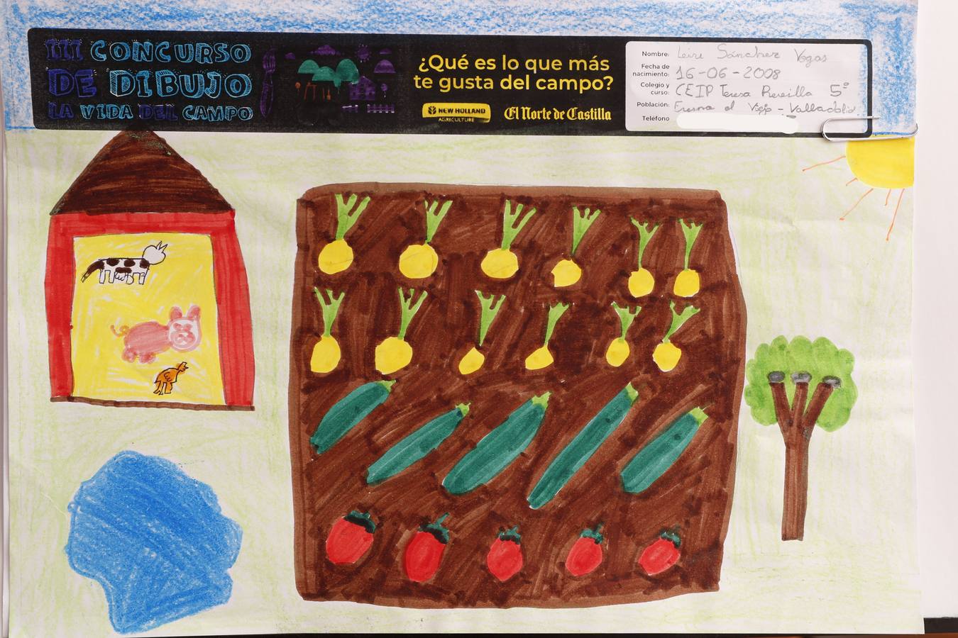 Fotos: Trabajos de 5º de Primaria en la modalidad de dibujo del III Concurso de Dibujo y Cómic &#039;La vida del campo&#039;