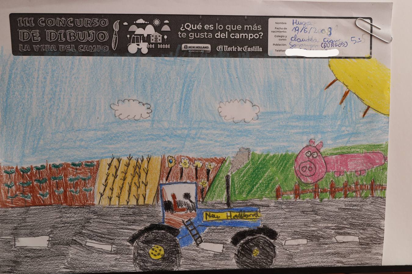 Fotos: Trabajos de 5º de Primaria en la modalidad de dibujo del III Concurso de Dibujo y Cómic &#039;La vida del campo&#039;