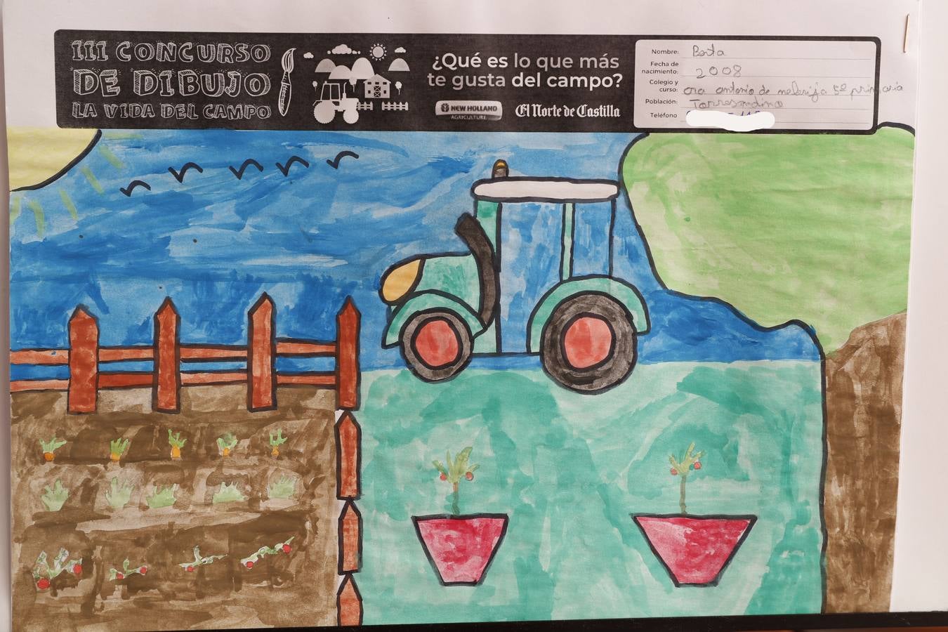 Fotos: Trabajos de 5º de Primaria en la modalidad de dibujo del III Concurso de Dibujo y Cómic &#039;La vida del campo&#039;