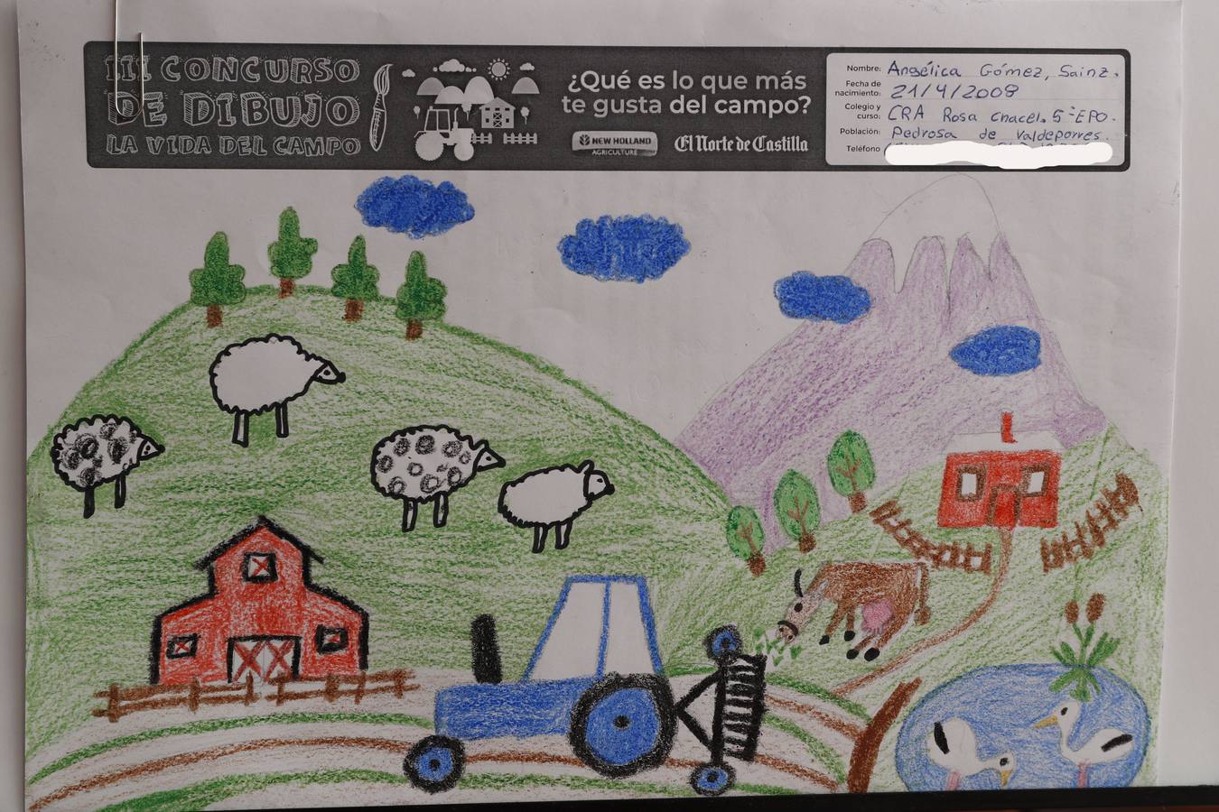 Fotos: Trabajos de 5º de Primaria en la modalidad de dibujo del III Concurso de Dibujo y Cómic &#039;La vida del campo&#039;