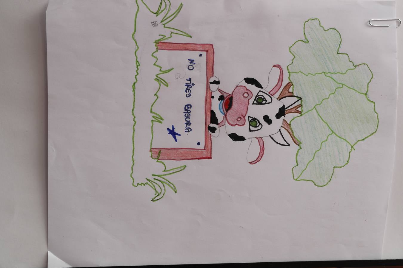 Fotos: Trabajos de 5º de Primaria en la modalidad de dibujo del III Concurso de Dibujo y Cómic &#039;La vida del campo&#039;