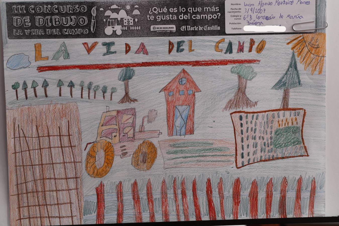 Fotos: Trabajos de 6º de Primaria en la modalidad de dibujo del III Concurso de Dibujo y Cómic &#039;La vida del campo&#039;