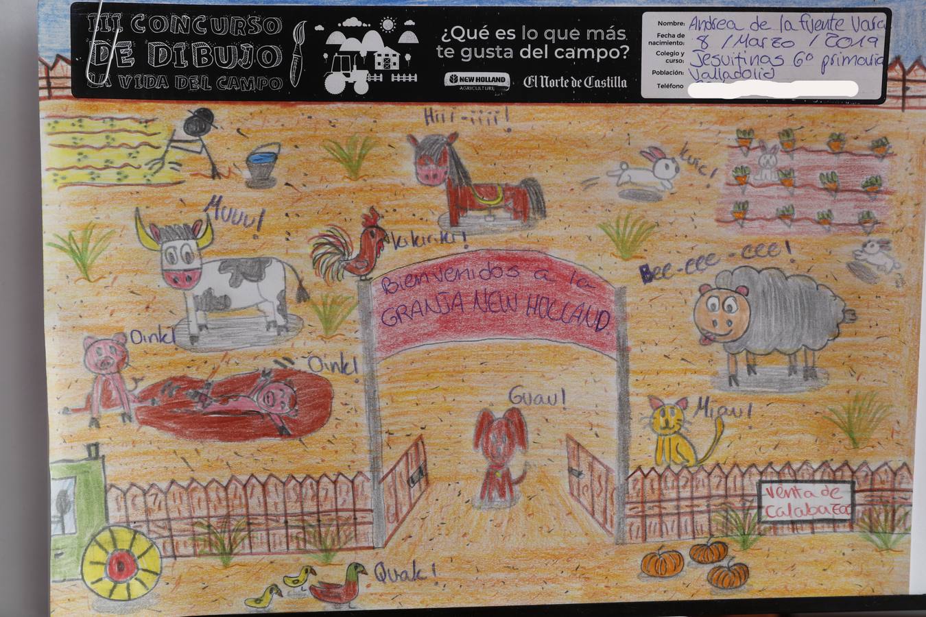 Fotos: Trabajos de 6º de Primaria en la modalidad de dibujo del III Concurso de Dibujo y Cómic &#039;La vida del campo&#039;