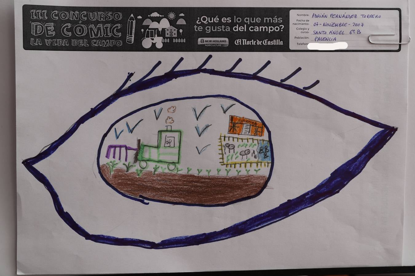 Fotos: Trabajos de 6º de Primaria en la modalidad de dibujo del III Concurso de Dibujo y Cómic &#039;La vida del campo&#039;